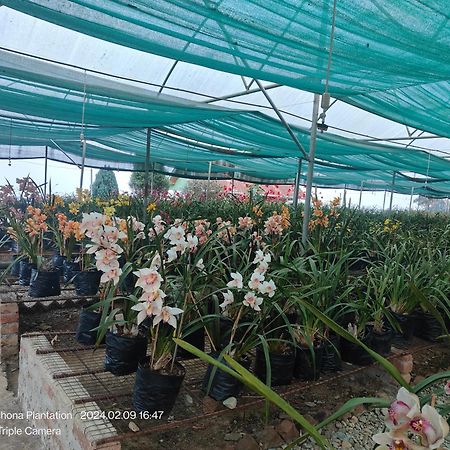 דרג'ילינג Vilasa Homestay מראה חיצוני תמונה